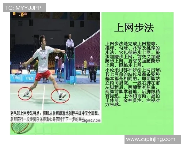 深圳羽毛球队运营模式解析及其在羽毛球领域的影响与发展趋势