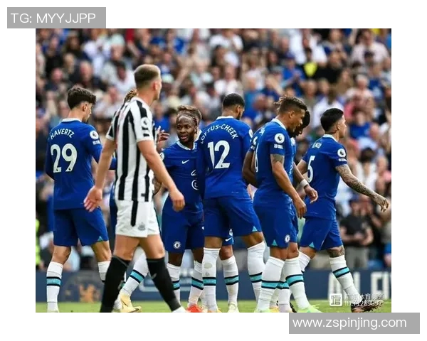 西安排球队战术引发热议球迷与专家观点大相径庭